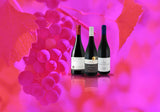 Local Pinot Noir Pack