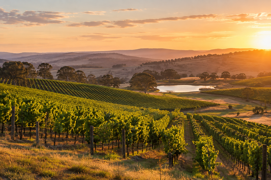 Australian Wine: A Guide to Popular Regions and Styles