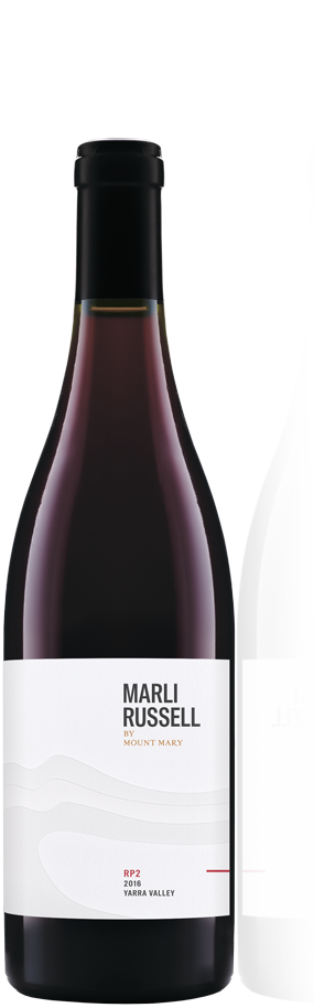 Red wine bottle with a white label on a white background