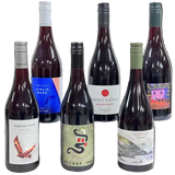 Collection of six wine bottles with various labels on a white background